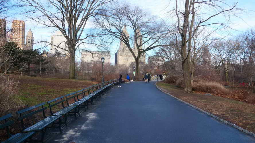 NYC_2020-01-26 09-22-46_P1070544